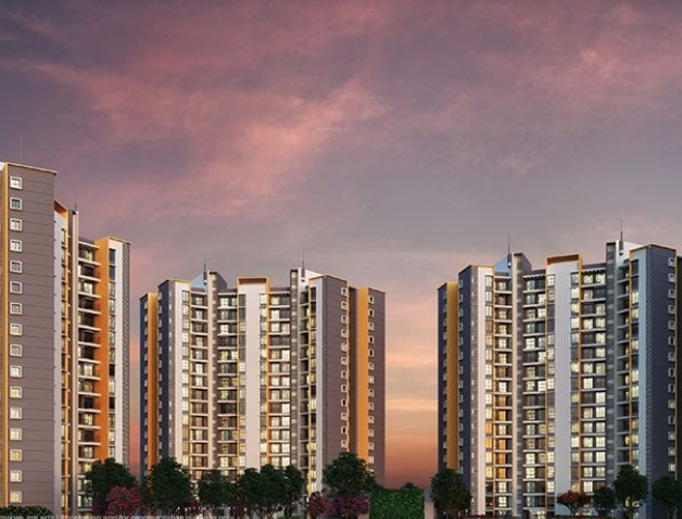  sensorium phase ii Elevation