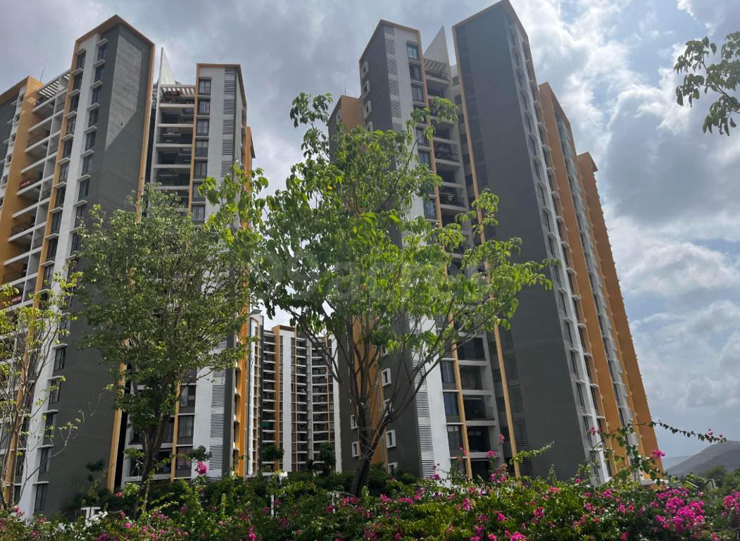  sensorium phase i Elevation