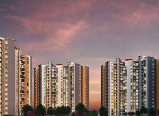 sensorium-phase-iii Elevation  sensorium-phase-iii Elevation