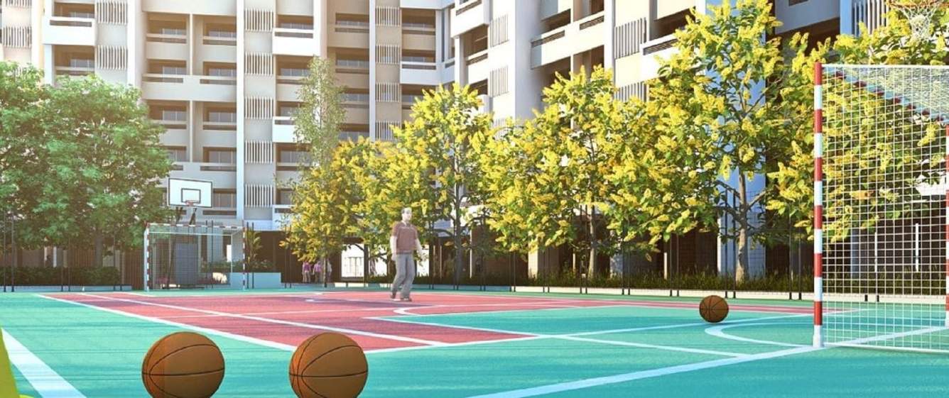  amavi 303 phase 2 Basketball Court