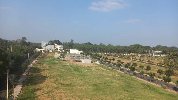  ssd-green-avenue Elevation