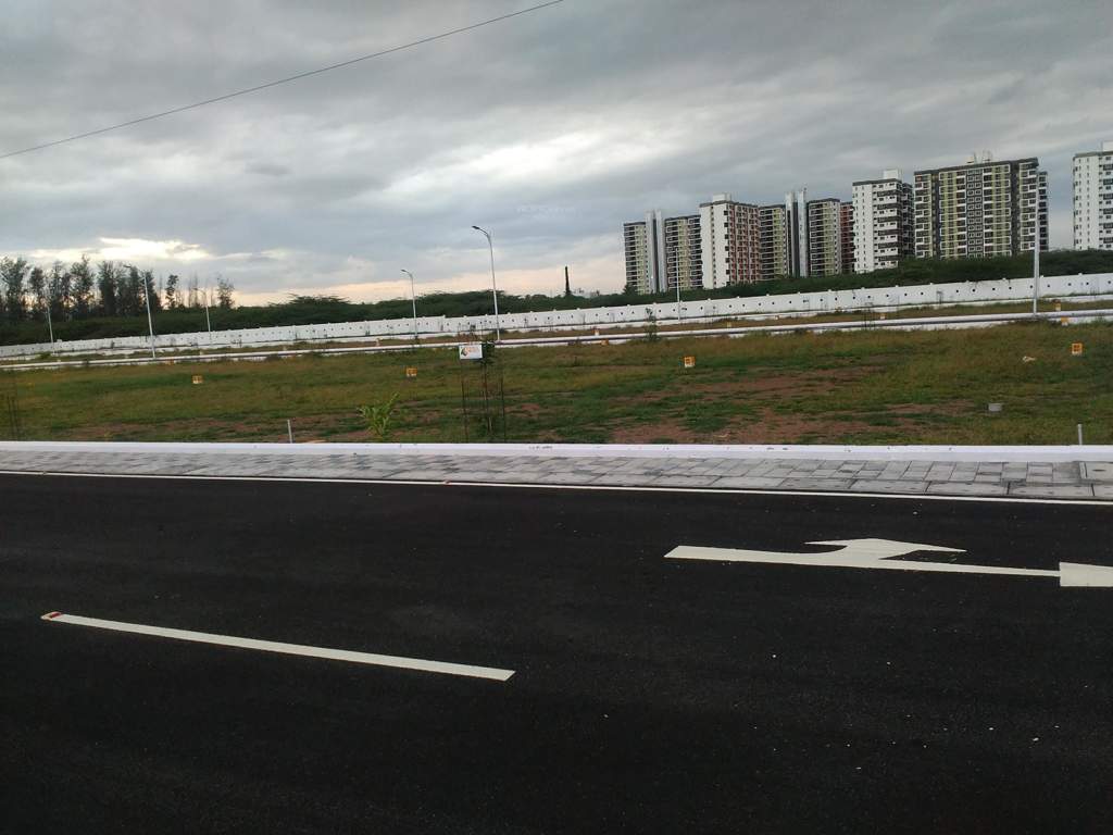  janani citrus county phase i Plot