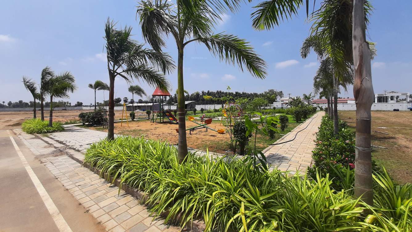  janani citrus county phase i Plot