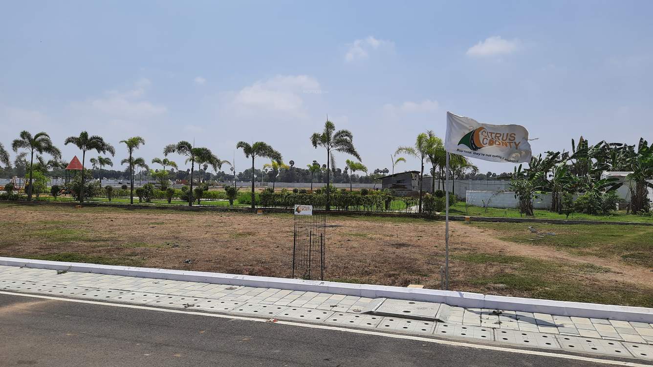  janani citrus county phase i Plot