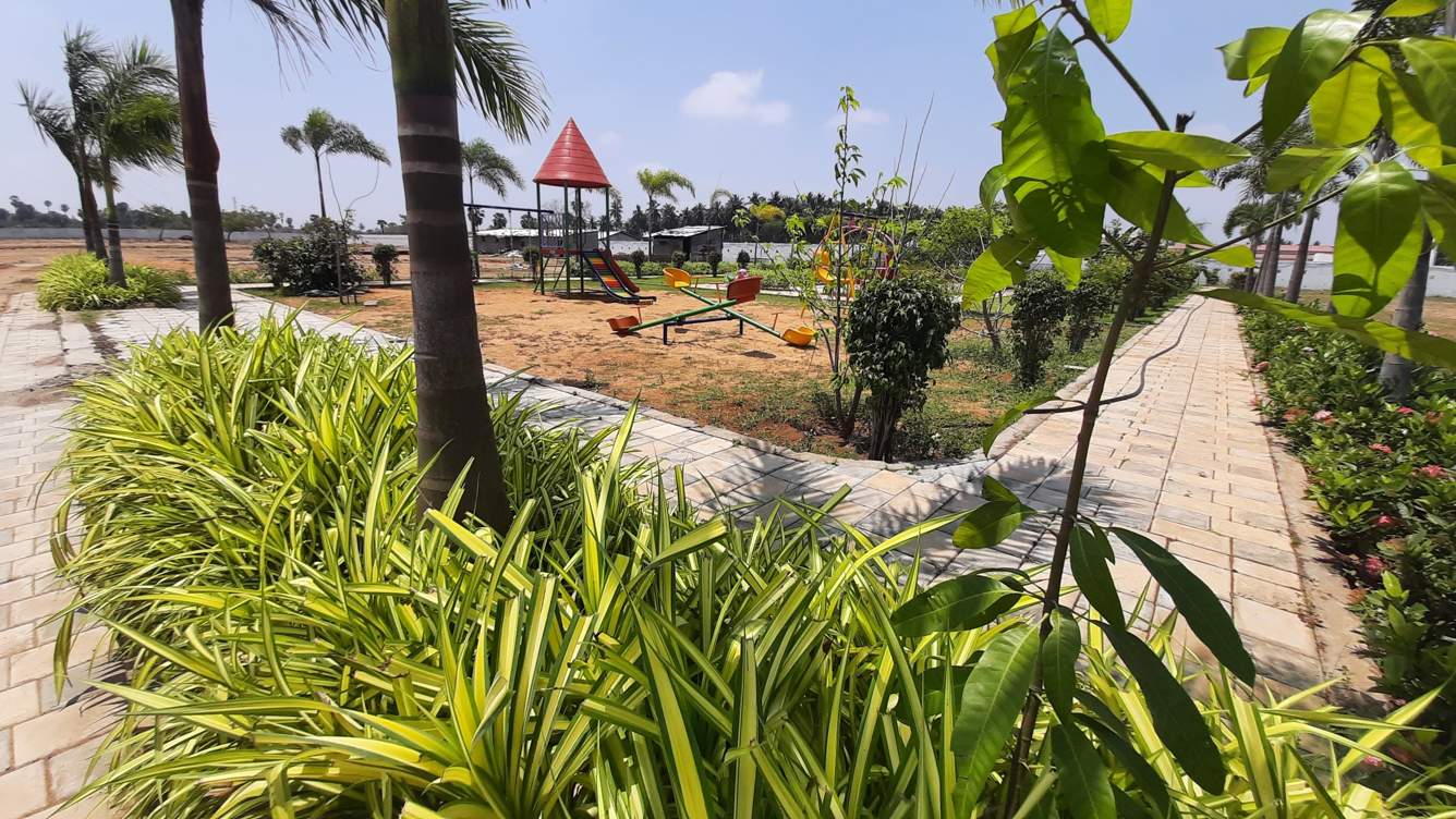  janani citrus county phase i Plot