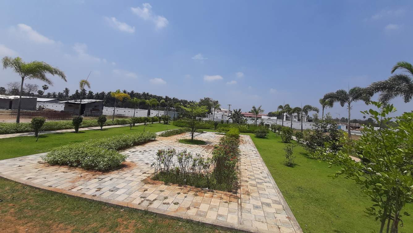  janani citrus county phase i Plot