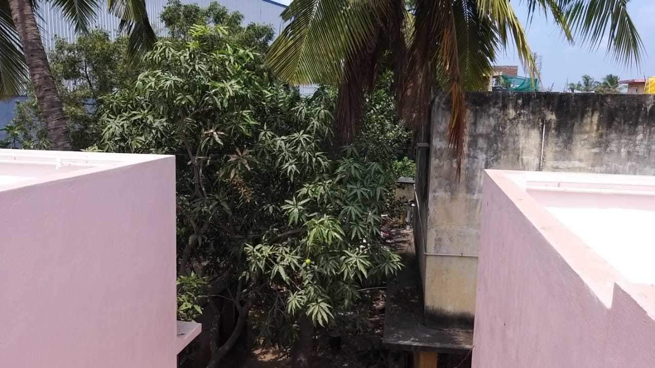 Images for mainOther