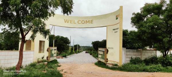 Elevation true-gold-hills Elevation