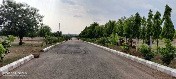  true-gold-hills Plot