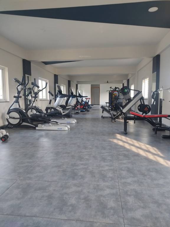 nest serene Gymnasium