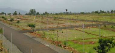 Elevation international-city-southern-county Elevation