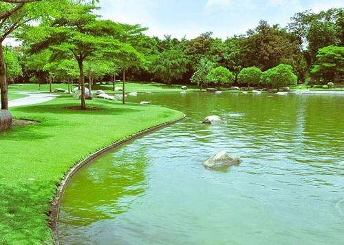  international-city-southern-county Landscape Garden and Tree Planting