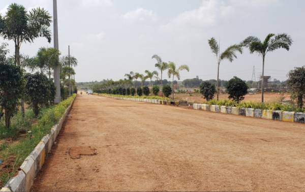  sarovar Images for Project