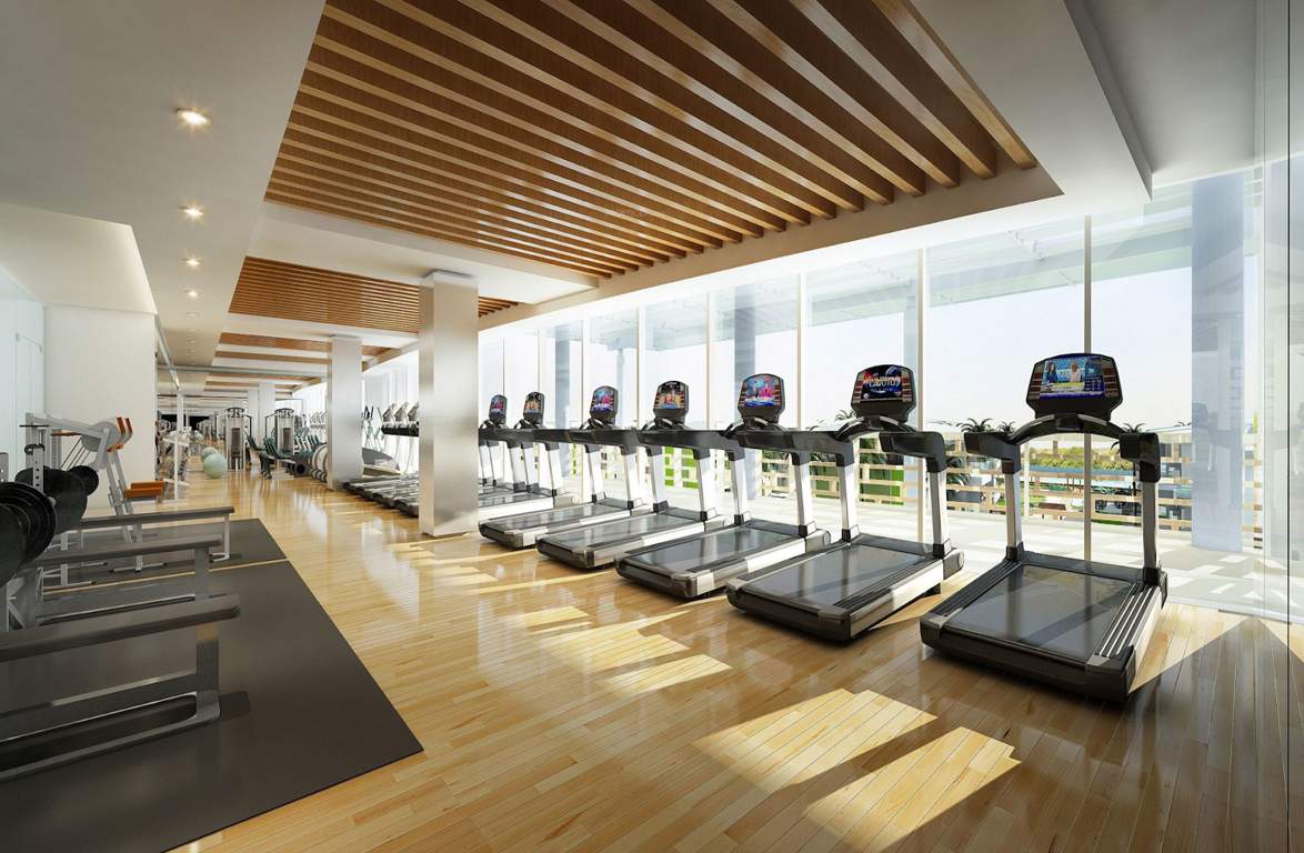  intelligentia infinity Gymnasium