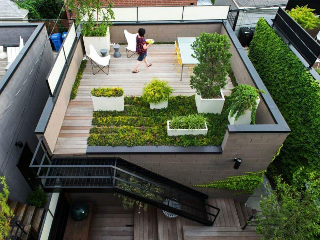  intelligentia infinity Terrace Garden