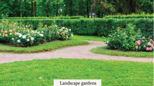  signature-elanza Landscape Garden and Tree Planting