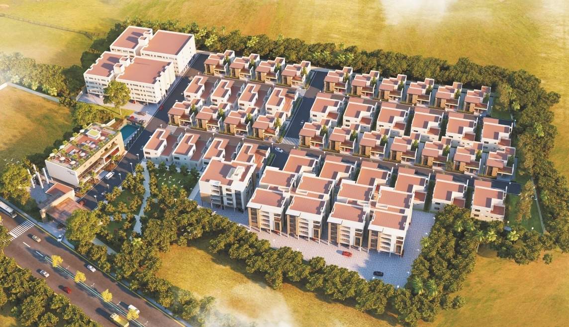  royal nesto Elevation