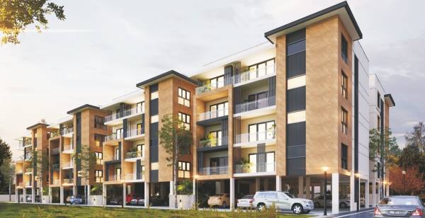 Elevation royal-nesto Elevation