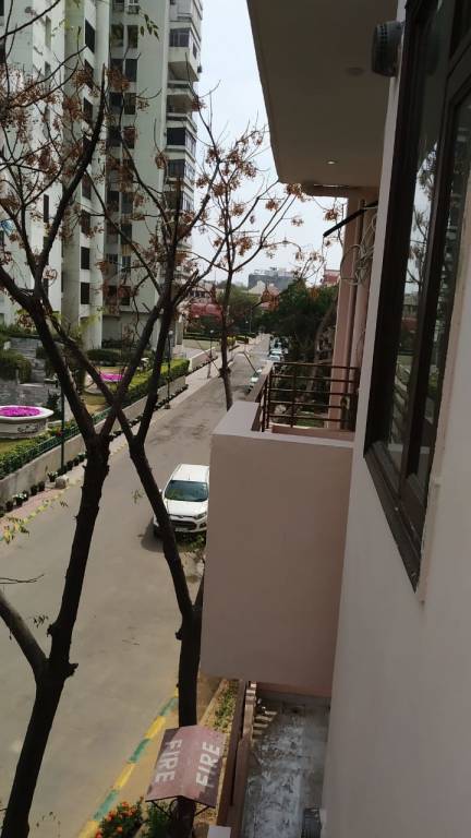 Images for mainOther