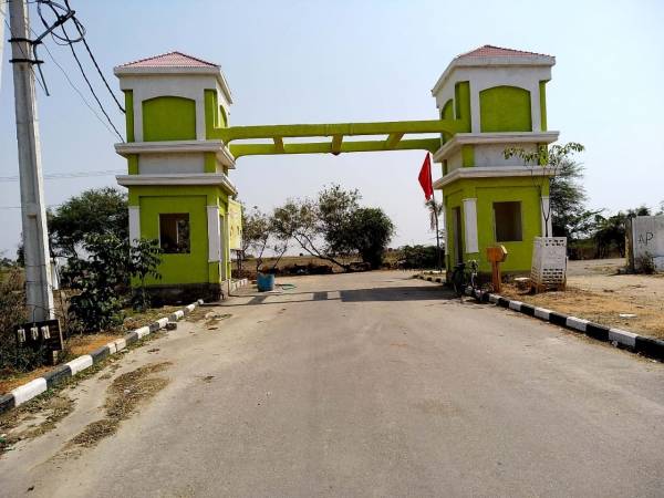  elite-nest Elevation