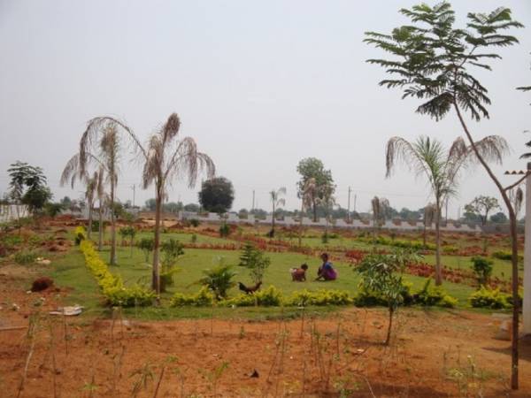  cristal-county-v Elevation