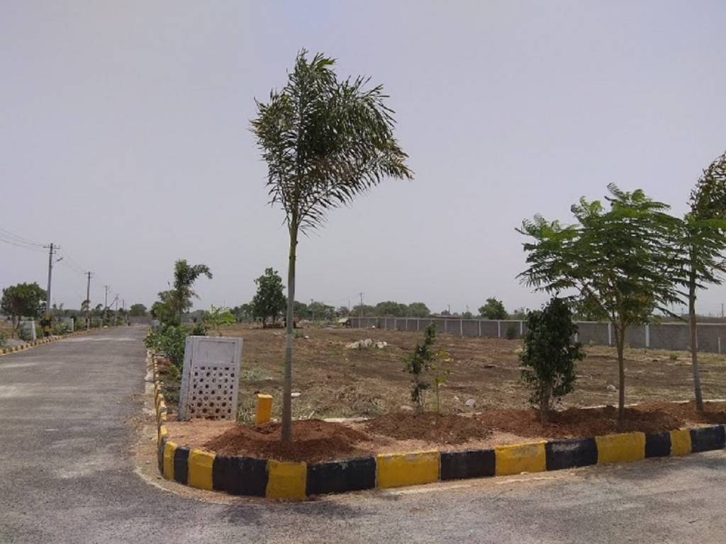  cristal county v Internal Roads