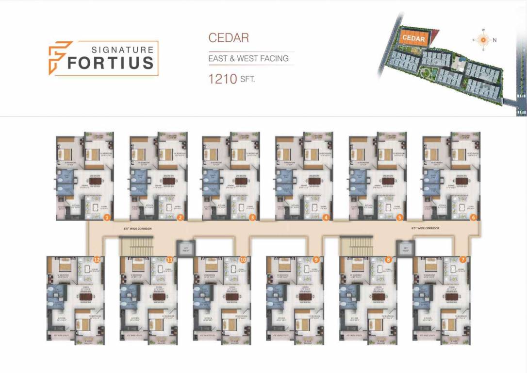  fortius Tower 1 Cluster Plan