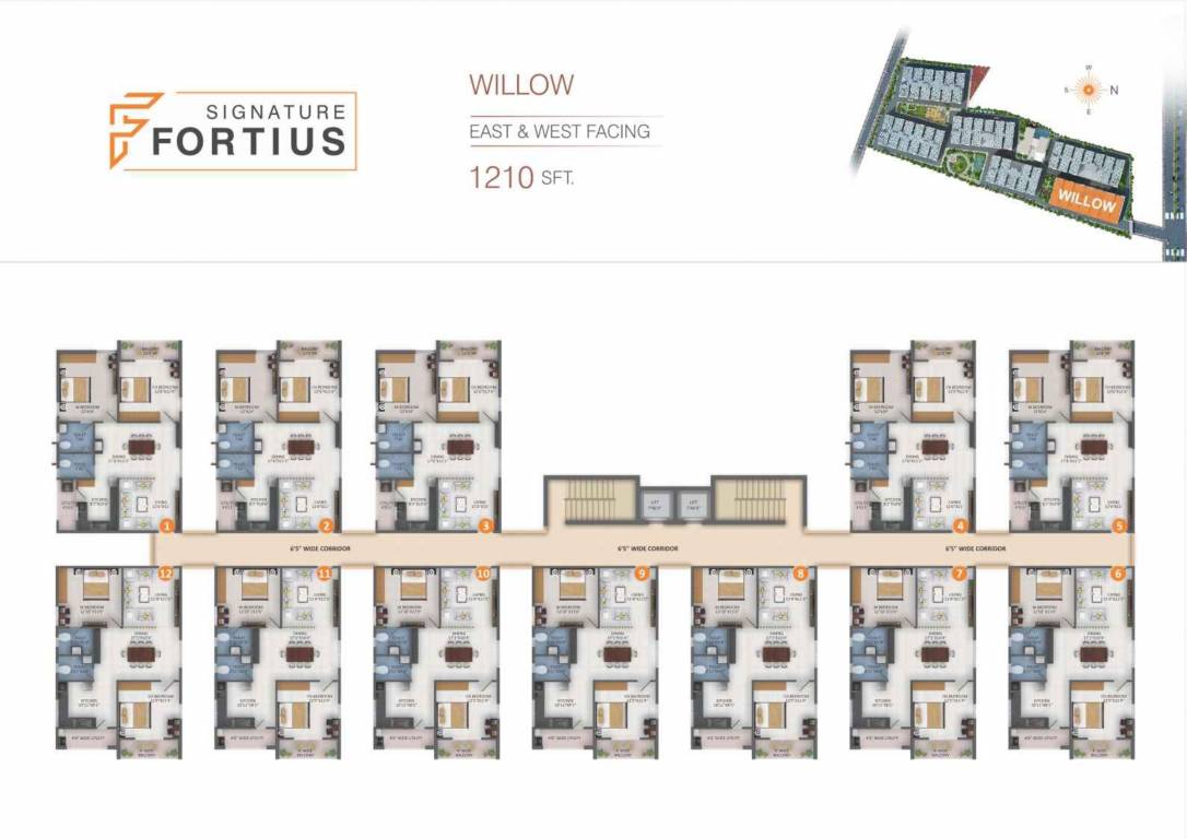  fortius Tower 5 Cluster Plan