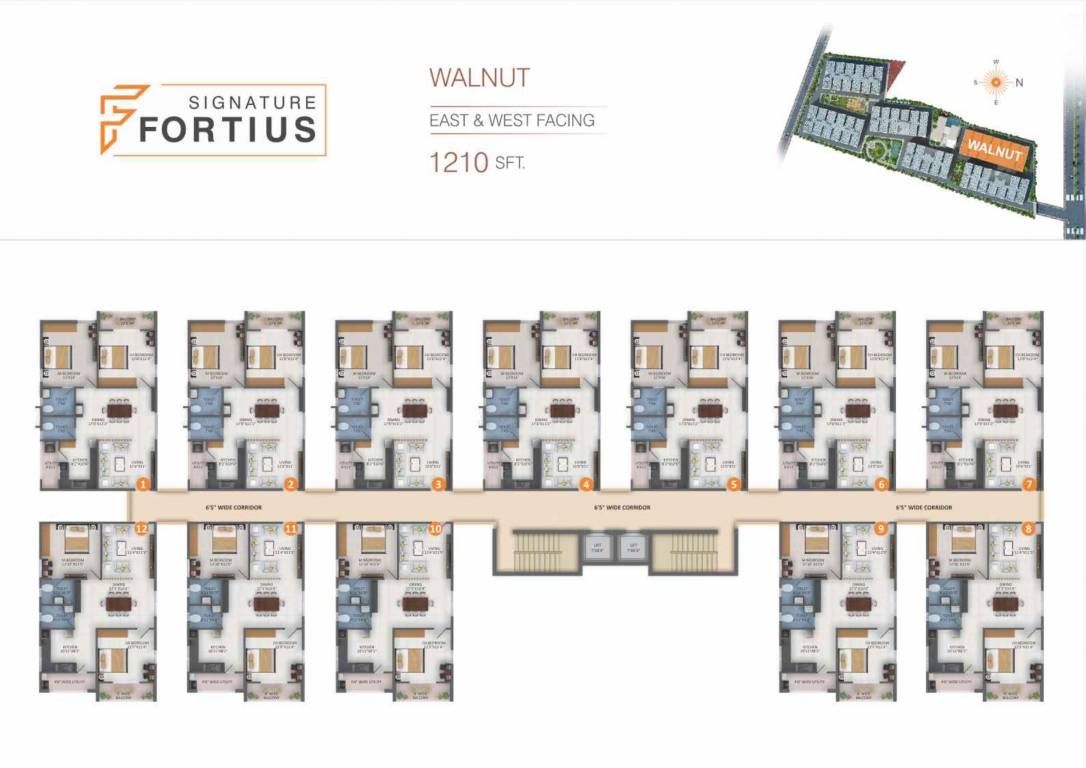  fortius Tower 6 Cluster Plan