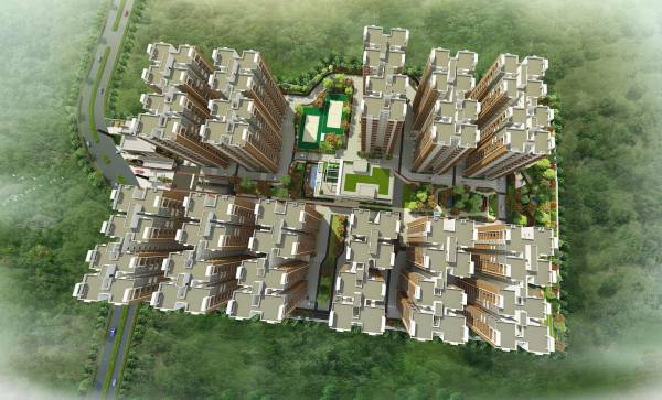  kanopy-marigold Elevation