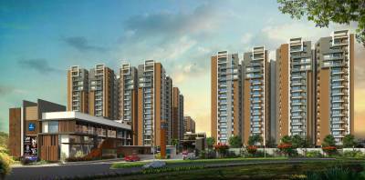  kanopy-marigold Elevation