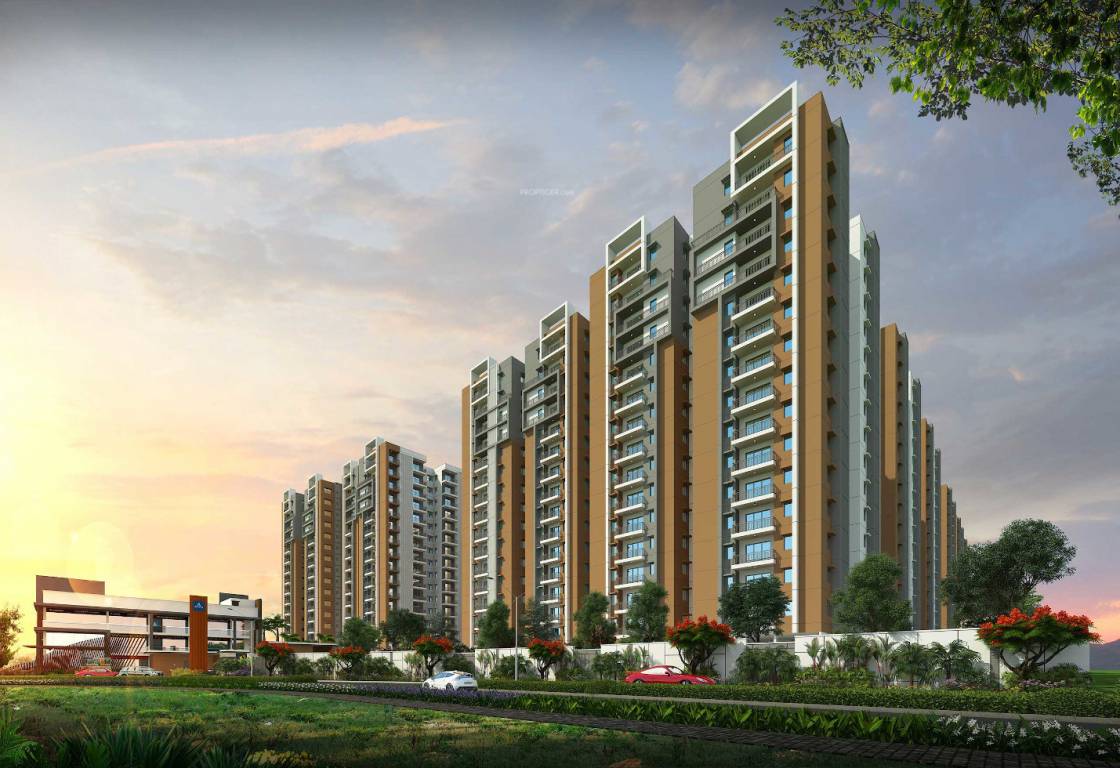  kanopy marigold Elevation