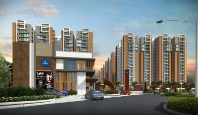  kanopy-marigold Others