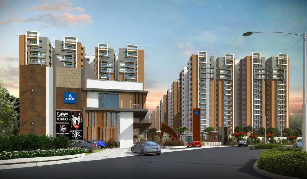  kanopy-marigold Others