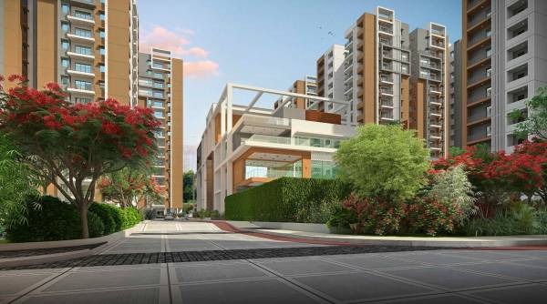  kanopy-marigold Others