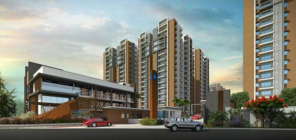  kanopy-marigold Others