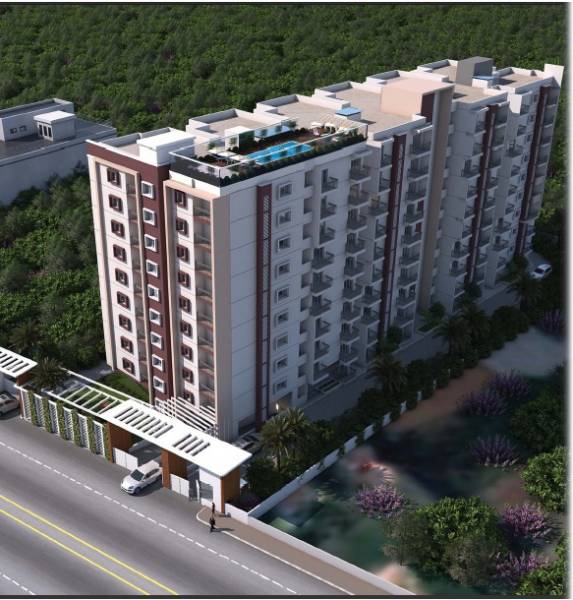 Elevation dreams Elevation