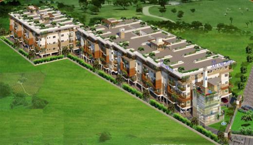 sai-orchid Elevation Elevation