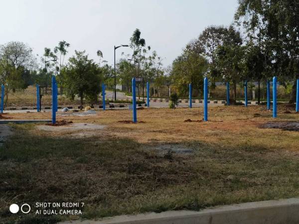 Images for mainOther