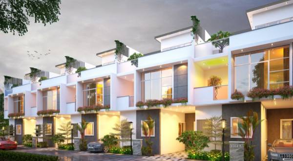  trifecta-verde-en-resplendor Elevation