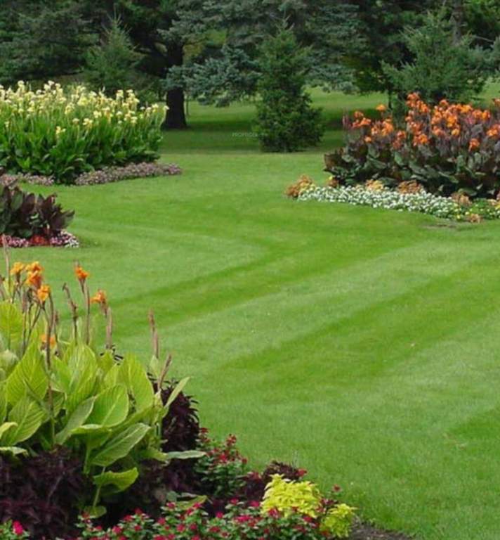  ansal basera city Landscaped Gardens