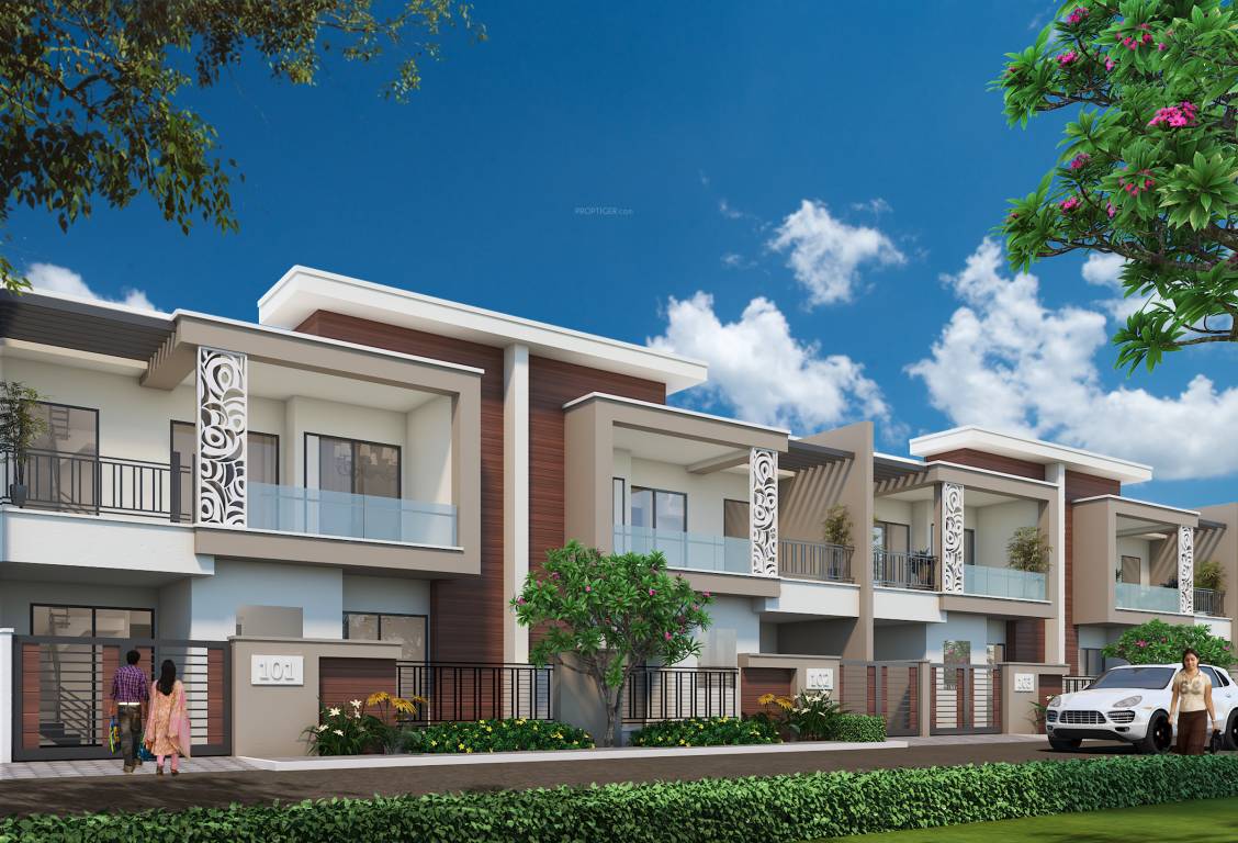 Elevation mega mansions Elevation