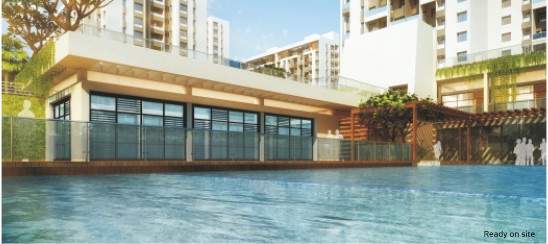 little earth masulkar city Others