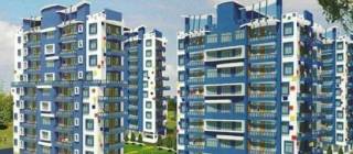 Project Image Project Image