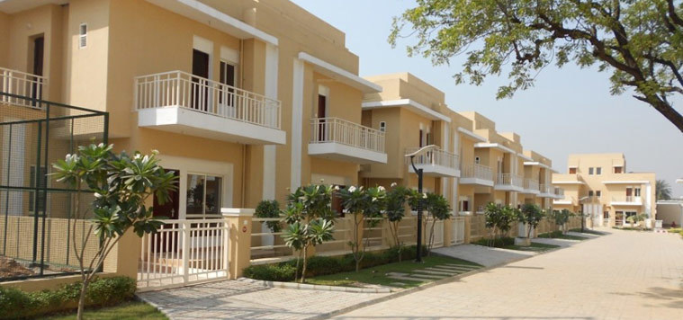 palm court Elevation