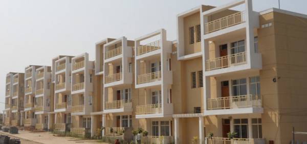  palm-court Elevation