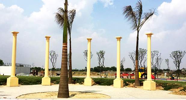  greens Landscape Garden and Tree Planting