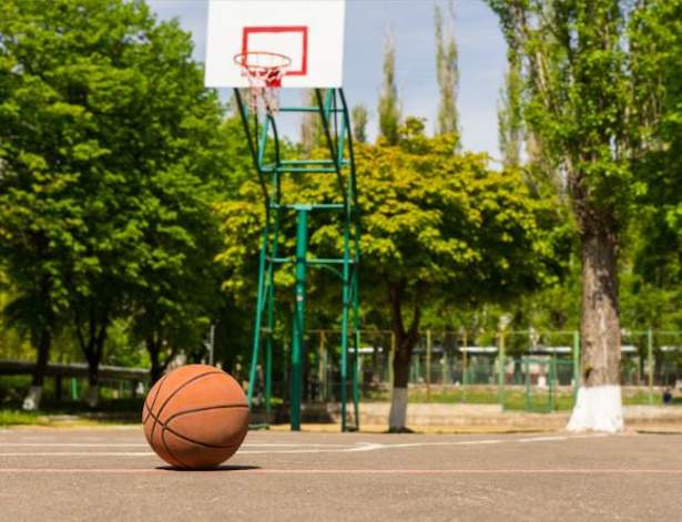 luxuria Basketball Court