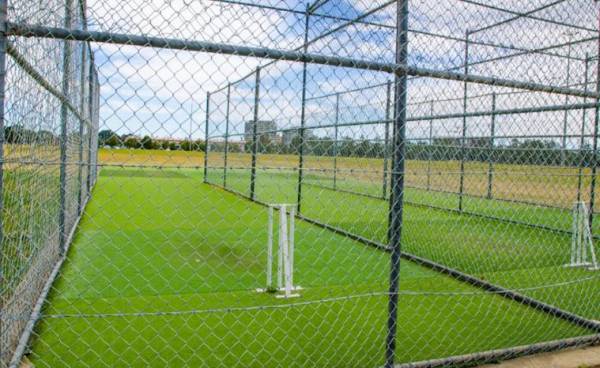 Cricket Pitch luxuria Cricket Pitch