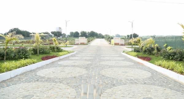  treetops Internal Roads